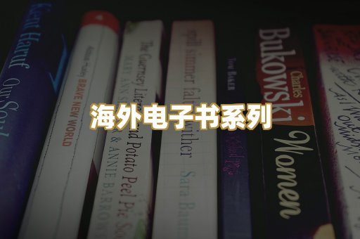 海外电子书系列